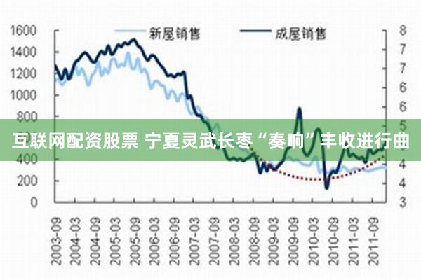 互联网配资股票 宁夏灵武长枣“奏响”丰收进行曲