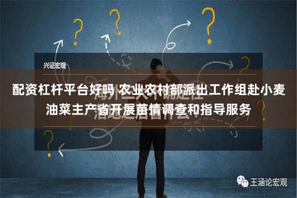 配资杠杆平台好吗 农业农村部派出工作组赴小麦油菜主产省开展苗情调查和指导服务