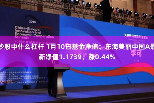 炒股中什么杠杆 1月10日基金净值：东海美丽中国A最新净值1.1739，涨0.44%