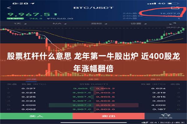股票杠杆什么意思 龙年第一牛股出炉 近400股龙年涨幅翻倍